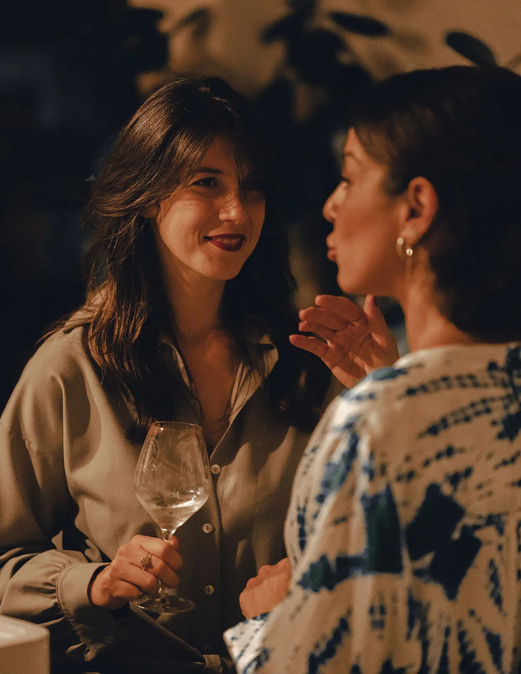 Two women in conversation at a previous ANFAS gathering.
